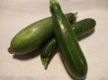 Zucchini green
